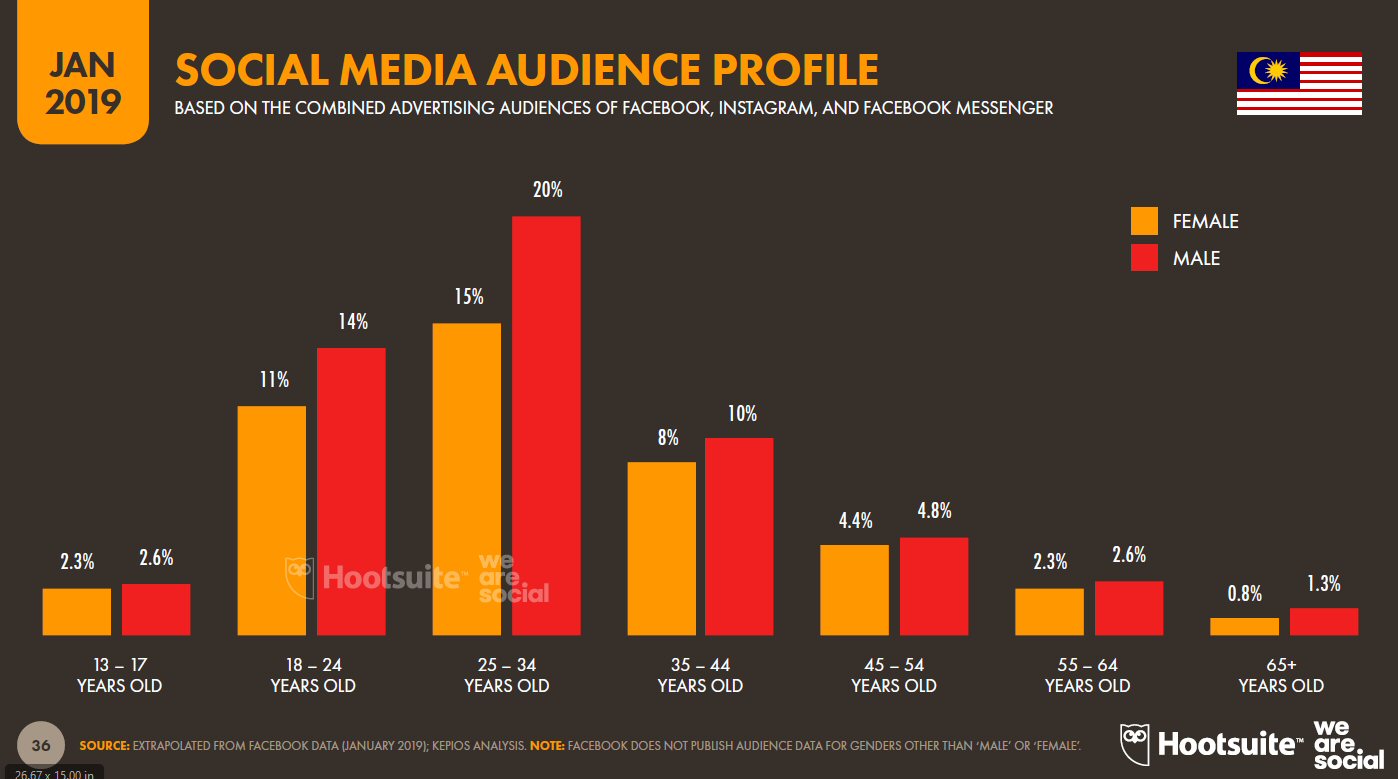 Social media audience profile in Malaysia