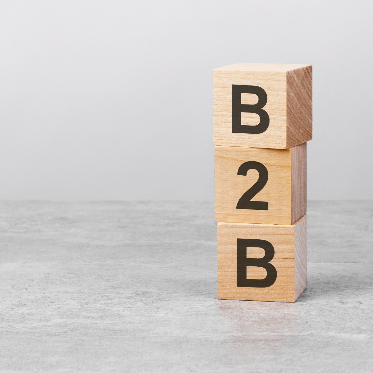 B2B Digital Marketing eBook About