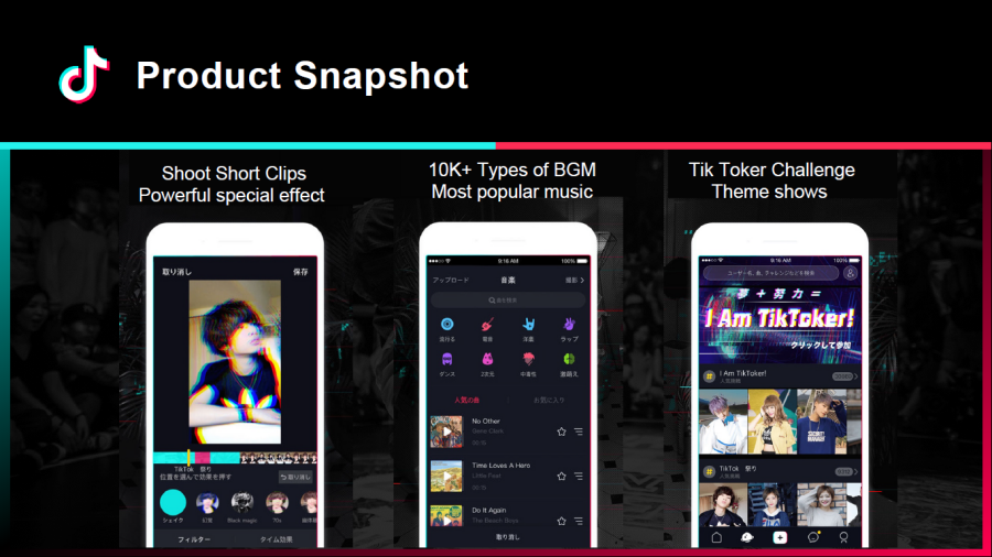 TikTok product snapshot